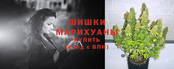 гидра Вязники