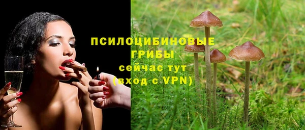 соль курить ск Вяземский