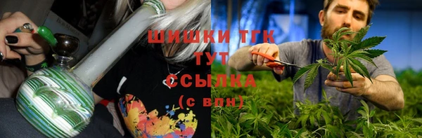 гидра Вязники