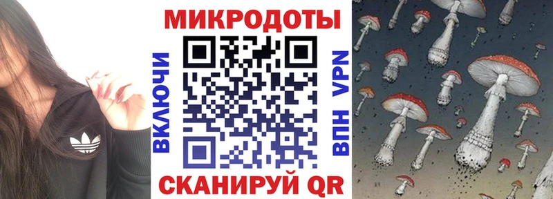 Купить  Болгар  Псилоцибиновые грибы Magic Shrooms 